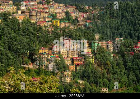 Maisons à flanc de montagne à Shimla, Himachal Pradesh, Inde Banque D'Images