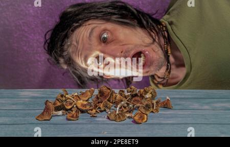 Portrait de mâle à cheveux noirs avec des champignons psilocybe sur une vieille table en bois bleu Banque D'Images