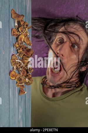 Portrait de mâle à cheveux noirs avec des champignons psilocybe sur une vieille table en bois bleu Banque D'Images