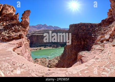 Vue sur le fleuve Colorado depuis les chutes sèches d'East Johnson Creek dans Marble Canyon Arizona. Le ruisseau provient de la mesa de Johnson point, en dessous de Vermi Banque D'Images