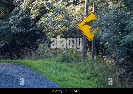 Un panneau jaune de passage à niveau de kiwi avertit les conducteurs qu'ils doivent être prudents face à la faune qui traverse la route. Banque D'Images