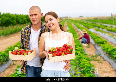 Couple tenant des caisses avec fraise sur le terrain Banque D'Images