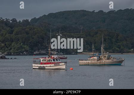 Le port d'Oban dans l'île Stewart, dans le sud d'Aotearoa Nouvelle-Zélande. Banque D'Images