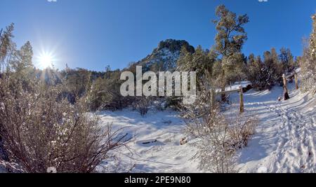 Thumb Butte vue depuis le sentier de randonnée dans la forêt nationale de Prescott, juste à l'ouest de Prescott Arizona, couvert de neige et de glace d'hiver. Banque D'Images