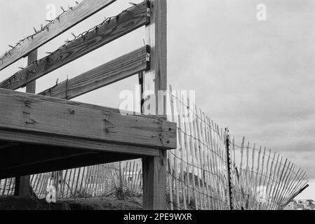 Une véranda en bois décorée de lumières de Noël s'élève au-dessus du sable à Salisbury Beach, Massachusetts. L'image a été capturée en noir et blanc analogique Banque D'Images