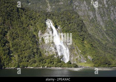 Milford Sound énorme paysage de chute d'eau tropical Banque D'Images