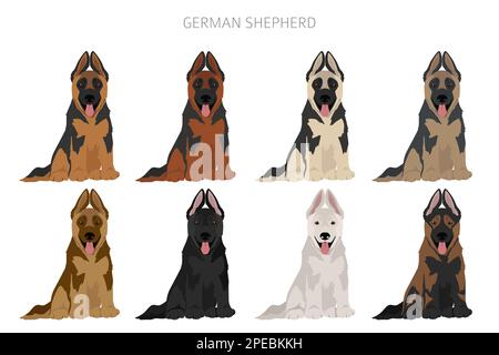 Chien berger allemand dans différentes poses et couleurs de pelage clipart. Illustration vectorielle Illustration de Vecteur
