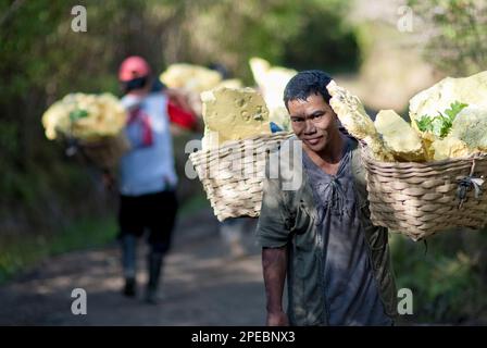 Homme local transportant des blocs de soufre dans des paniers en descendant du cratère, Mont Ijen, Java-est, Indonésie Banque D'Images