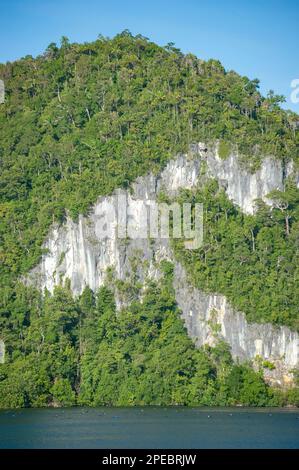 Côte à la base de la forêt tropicale avec falaise exposée, Raja Ampat, Papouasie occidentale, Indonésie Banque D'Images