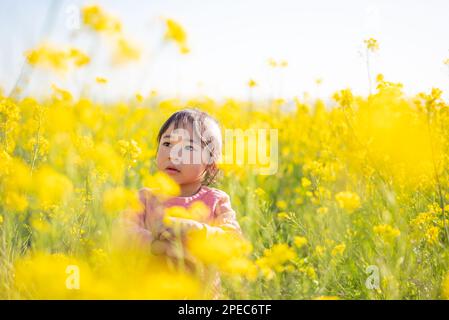 Un enfant au milieu de la prairie de fleurs jaunes au printemps. Banque D'Images
