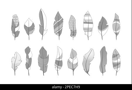 Plumes ornementales. Formes abstraites décoratives de plumelet d'ailes d'oiseaux, fantaisie créative tribal ethnique silhouettes quill style simple plat. Doodle vectoriel Illustration de Vecteur