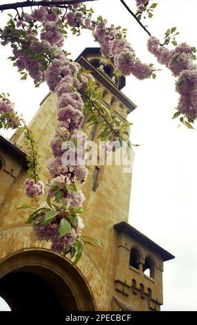 Alba Iulia, Roumanie, environ 2000. Vue extérieure du clocher de la cathédrale de Coronation. Banque D'Images