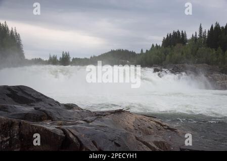 Cascade de Laksforsen dans la municipalité de Grane dans la province de Nordland en Norvège, qui s'étend sur une étendue rocheuse de plus de 17 mètres de haut. Banque D'Images