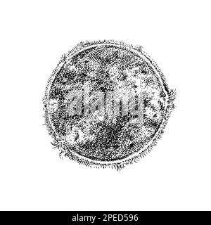 DIM. Étoile dans le système solaire. Espace astronomique de la galaxie. Gravé à la main, dessiné dans un ancien croquis, style vintage pour l'étiquette. Illustration de Vecteur