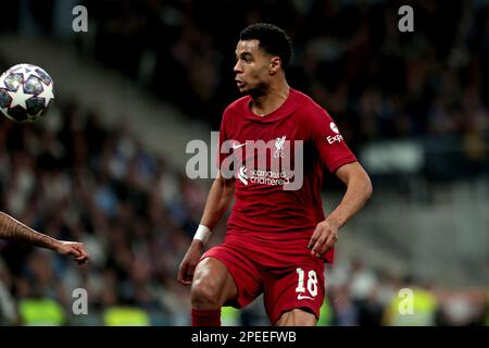 Madrid, espagnol. 15th mars 2023. Madrid Espagne; 03.15.2023.- joueur de Liverpool Gakpo. Real Madrid vs Liverpool ronde de 16 jour de match 2 de 2 dans la Ligue des Champions. Stade Santiago Bernabeu dans la capitale du Royaume d'Espagne. Note finale 1-0 résultat global 6-2 crédit: Juan Carlos Rojas/dpa/Alamy Live News Banque D'Images