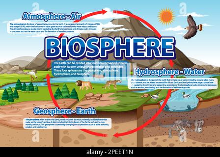 Infographie sur l'écologie de la biosphère pour l'illustration de l'apprentissage Illustration de Vecteur