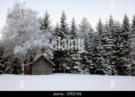 Photographie couleur d'une cabane en bois enneigée et d'une forêt, Seefeld, Tyrol, Autriche, Europe, 2023. Banque D'Images