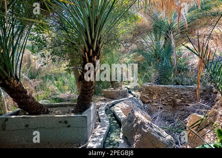 Vue sur le falaj (aflaj : les anciens canaux d'irrigation omanais), Wadi Tiwi, Oman Banque D'Images