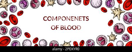 Arrière-plan des cellules sanguines. Conception de tests sanguins, anémie, don, hémophilie, concepts de recherche scientifique en laboratoire. Illustration vectorielle dans l'esquisse St Illustration de Vecteur