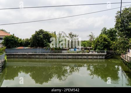 Bangkok, Thaïlande. 16th mars 2023. Un agriculteur a tendance à avoir un jardin de l'autre côté d'un canal qui traverse la ville. La vie quotidienne autour de Srinakarin Road, un quartier résidentiel à l'est de Bangkok, en Thaïlande. Credit: Matt Hunt/Neato/Alay Live News Banque D'Images