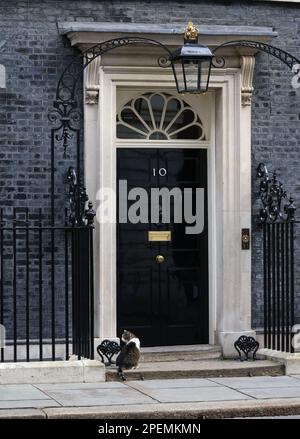 Londres, Royaume-Uni. 15th mars 2023. Larry le chat à l'extérieur numéro 10 Downing Street. Budget Day, Downing Street, Westminster, Londres, le 15th mars, 2023. Crédit : Paul Marriott/Alay Live News Banque D'Images