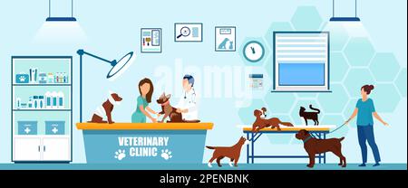 Vecteur d'un vétérinaire et de son assistant prenant soin des chiens et des chats dans une clinique vétérinaire. Illustration de Vecteur