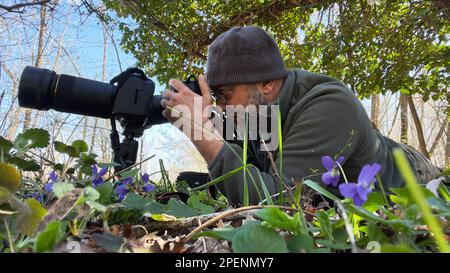 photographe dans la forêt Banque D'Images