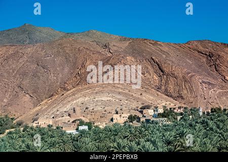 Ruines de briques de boue et palmiers dattiers dans le village oasis de Birkat al Mouz, Oman Banque D'Images