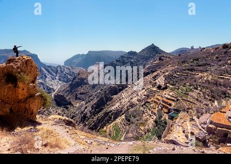 Champs agricoles en terrasse, Al Ain, Jebel Akhdar, Oman Banque D'Images