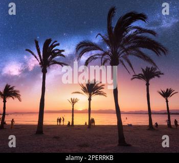 Une voie lactée au-dessus de la plage de sable avec des palmiers la nuit en été Banque D'Images