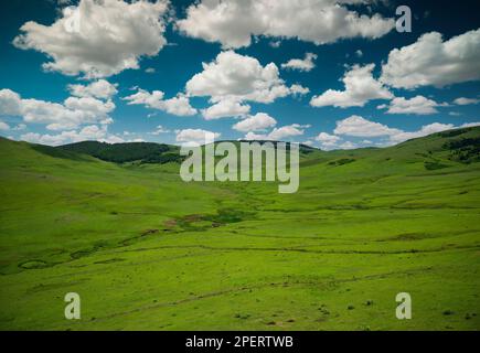 Été sur le plateau de Persembe. Belles montagnes de la province d'Ordu. Aybasti, ville d'Ordu, Turquie Banque D'Images