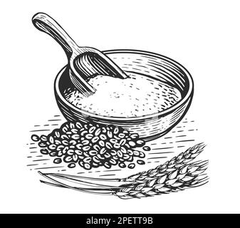 Farine dans un bol, grains de blé, pelle en bois et épis de blé. Alimentation saine. Illustration vintage dans un style d'esquisse Banque D'Images