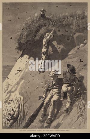 RAID sur une colonie de sable - 'combien d'oeufs?', publié en 1874 par Lagarde après Winslow Homer Banque D'Images