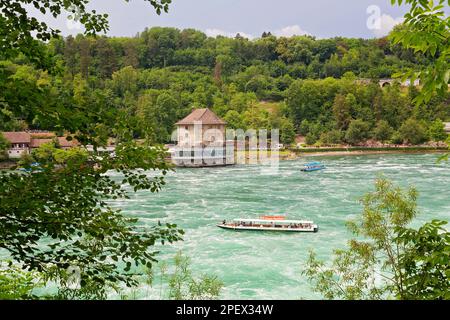 Chutes du Rhin dans les Alpes suisses, Suisse Banque D'Images