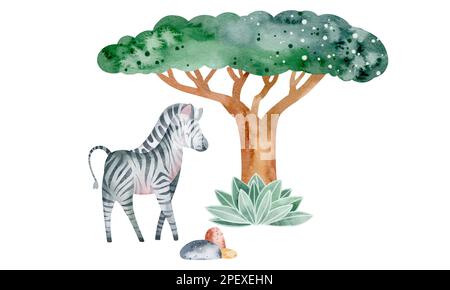 Ensemble d'illustrations aquarelles d'animaux de savane dans la nature. Illustration d'animaux sur fond blanc. Dessiné à la main. Banque D'Images