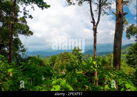 Vue panoramique sur le point de vue de Kew fin près du village de Mae Kampong et de la ville de Chiang Mai, en Thaïlande. Vue sur les montagnes et les collines par beau temps. Banque D'Images