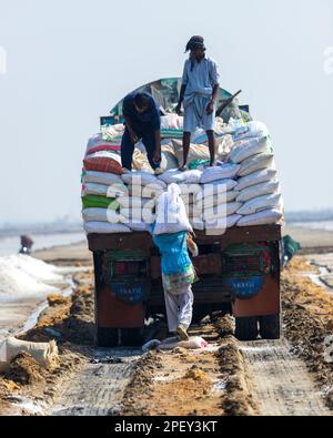 Bhambore Sindh Pakistan 2022, Labour collectant et empilant du sel de mer sur camion dans les champs tôt le matin, Bhambhore également connu sous le nom de Bhanbhore Banque D'Images