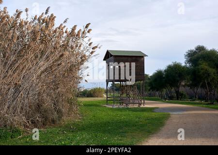 Chalet d'observation des oiseaux en bois dans la réserve naturelle du parc régional Molentargius Saline près de Cagliari, Sardaigne, Italie Banque D'Images