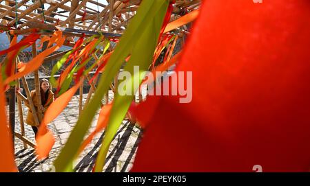 Seitenroda, Allemagne. 16th mars 2023. Ronja Beltermann, experte en tourisme, regarde les rubans colorés du palais de BambooPalace, qui a été créé pour la magie du printemps de Leuchtenburg sur le Leuchtenburg. Avec la magie printanière de 18 mars à 14 mai 2023, le Leuchtenburg commence dans la saison. Les jardiniers et les maîtres du château ont transformé le complexe du château médiéval en un paysage coloré. Credit: Martin Schutt/dpa/Alay Live News Banque D'Images