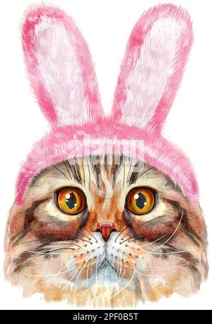 Joli chat en costume de lapin. Chat pour les motifs des t-shirts. Illustration de la race de chat à pliure Highland aquarelle Banque D'Images