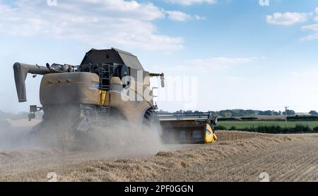 Combinaison d'un champ de blé dans le North Yorkshire, avec une moissonneuse-batteuse New Holland. Banque D'Images