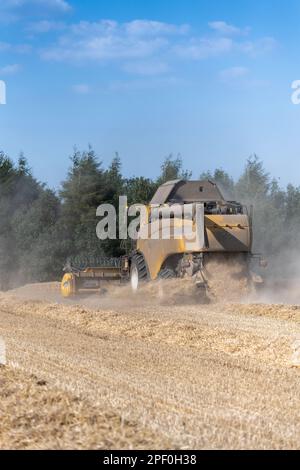 Combinaison d'un champ de blé dans le North Yorkshire, avec une moissonneuse-batteuse New Holland. Banque D'Images