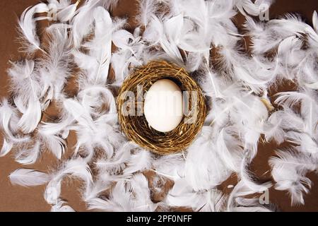 La main d'une femme met un gros œuf blanc dans le nid. Produits écologiques frais, œuf dans le nid sur fond brun, plumes de poulet volantes. Œuf de poulet, nourriture, na Banque D'Images