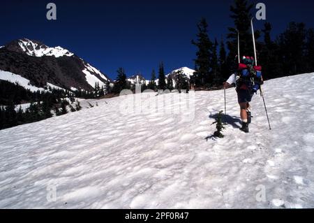 OutdoorSport30/121801 -- les grimpeurs sur les pentes inférieures de la Sœur dans la région sauvage de trois Sœurs, l'Oregon. Banque D'Images