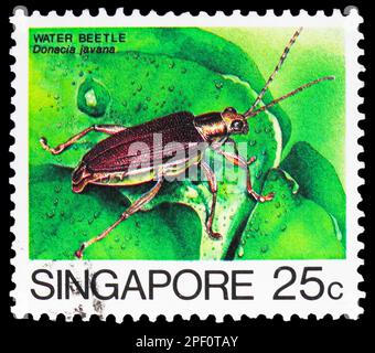 MOSCOU, RUSSIE - 17 FÉVRIER 2023 : timbre-poste imprimé à Singapour montre la Béette d'eau (Donacia javana), série d'insectes, vers 1985 Banque D'Images