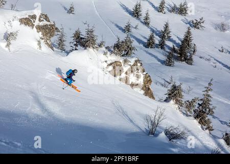 Le skieur de l'arrière-pays carde avec élégance à travers la neige poudreuse intacte entre les rochers et les arbres, la beauté des sports d'hiver Banque D'Images