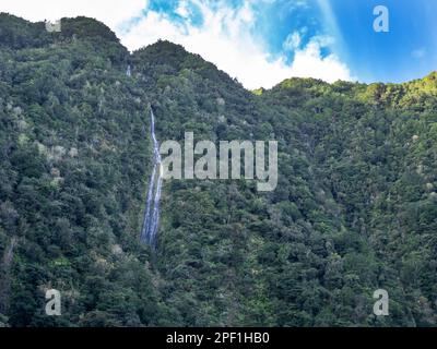 Une cascade qui descend à travers les forêts de Laurel près de sao Vicente à Madère. Banque D'Images