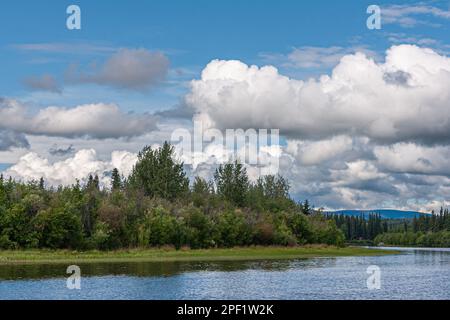 Fairbanks, Alaska, États-Unis - 27 juillet 2011: Rivière Chena en amont sous un paysage bleu et une ceinture de forêt verte divisant l'image Banque D'Images