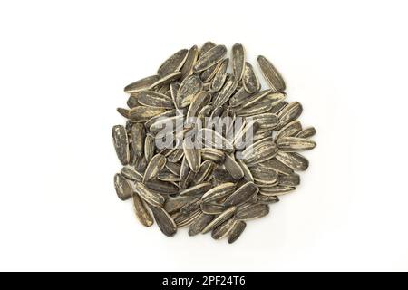 Pile de graines de tournesol en coquille isolée sur fond blanc Banque D'Images