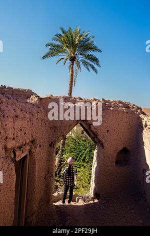 Dattiers parmi les ruines dans le village abandonné d'Al Munisifeh, Ibra, Oman Banque D'Images